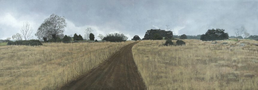 CAMINO DE LOS PRADOS 2017 óleo sobre tabla 70 x 200 cm.